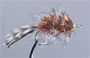 Photo Credit: From the Orvis web site www.orvis.com, this fly is called 'Go-To Joe'